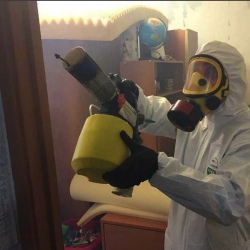 Уничтожение клопов в квартире. Молодёжная